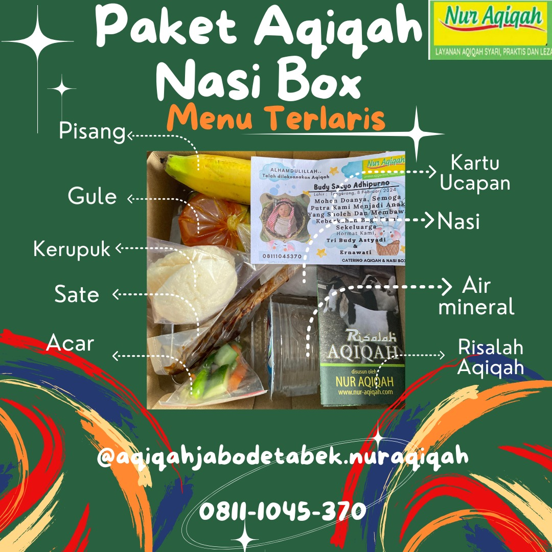 Paket nasi box aqiqah Nur Aqiqah